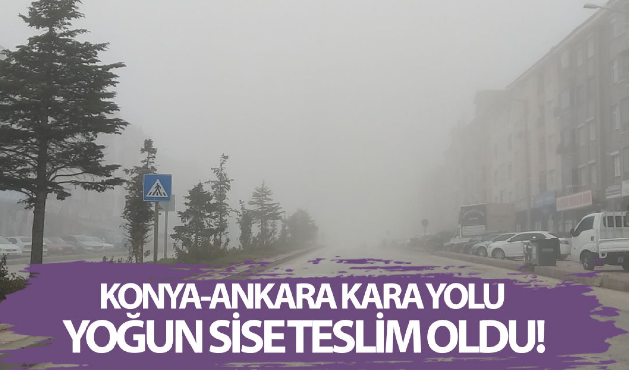 Konya-Ankara kara yolu yoğun sise teslim