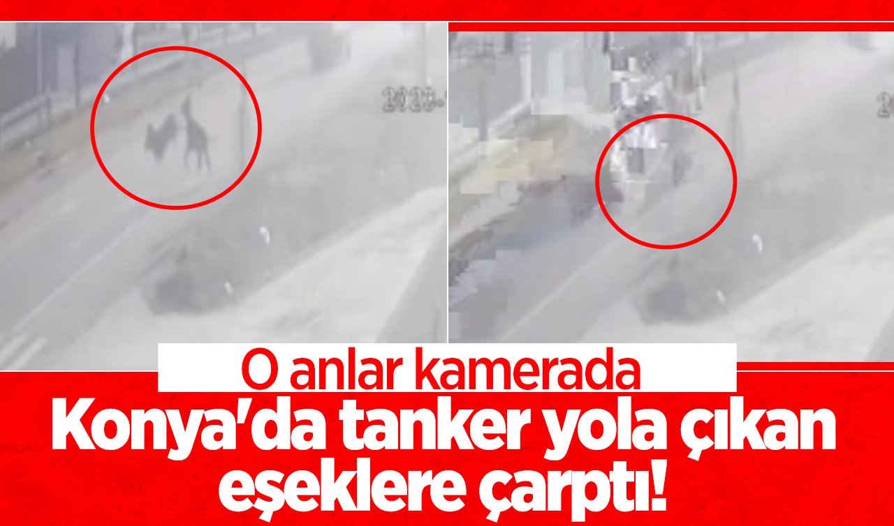 Konya’da tanker yola çıkan eşeklere çarptı! O anlar kamerada 