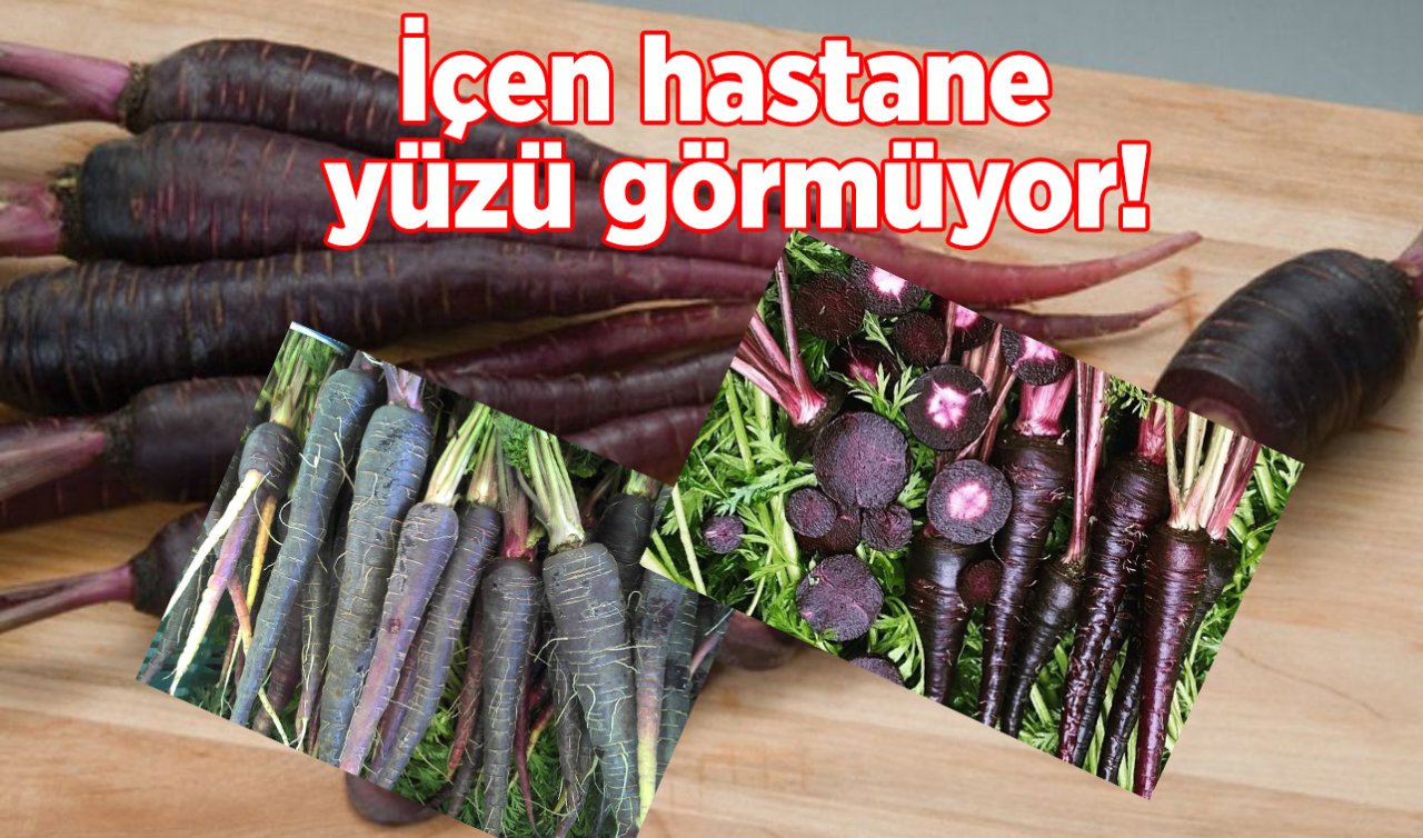 İçen hastane yüzü görmüyor! Siyah havucun faydaları nedir? 