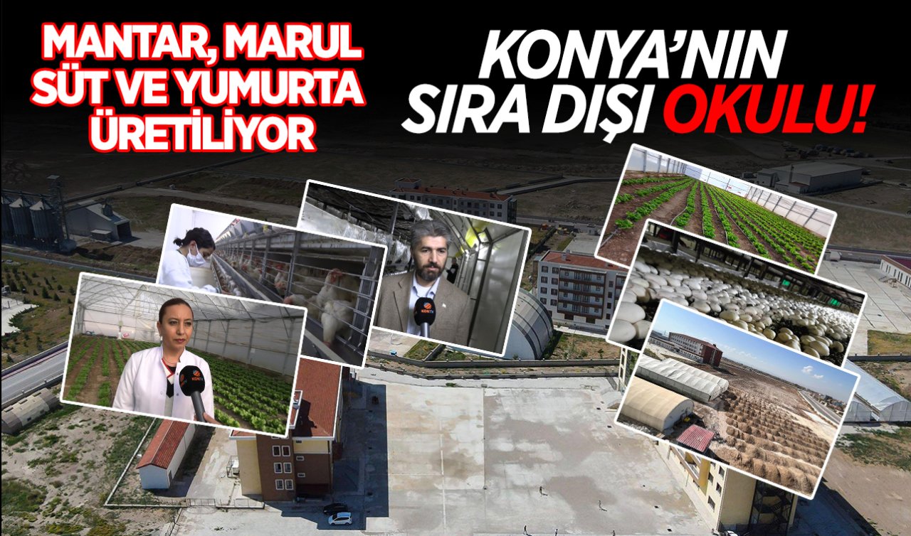 Konya’nın sıra dışı okulu! Mantar, marul, süt ve yumurta üretiliyor