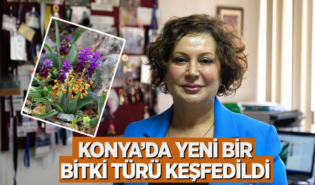 Konya’da yeni bitki türü keşfedildi!