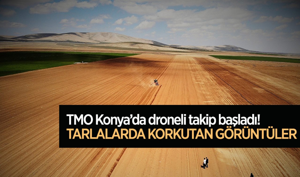 TMO Konya’da droneli takibe başladı! Tarlalarda korkutan görüntüler