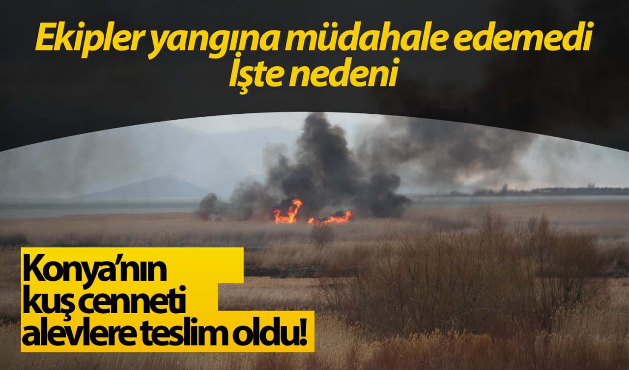 Konya’nın kuş cenneti alevlere teslim oldu! Ekipler yangına müdahale edemedi: İşte nedeni