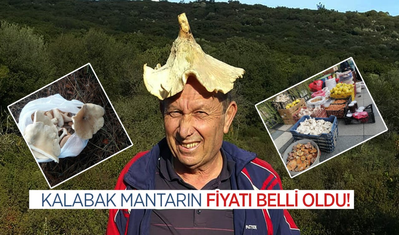 Mersin’de kalabak mantarının fiyatı belli oldu!