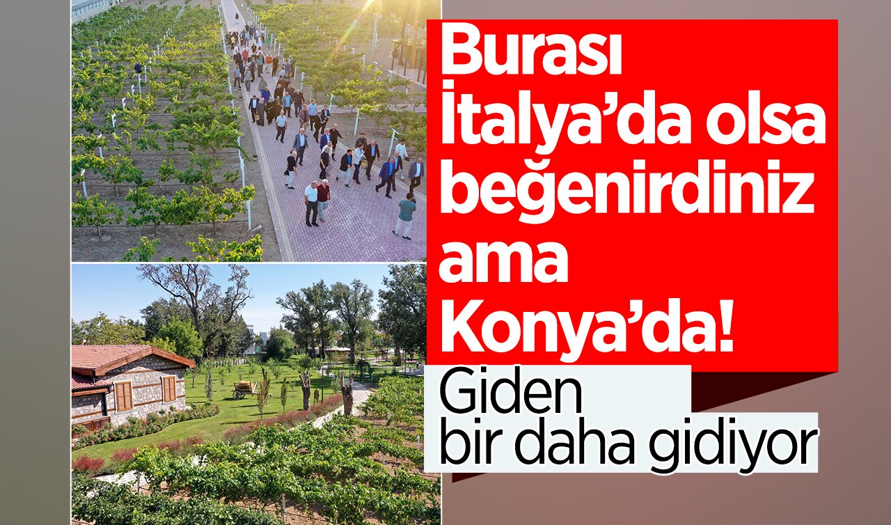 Konya’nın en çok tercih edilen rotası burası oldu! Giden bir daha gidiyor: Şehrin en özel yatırımı! 