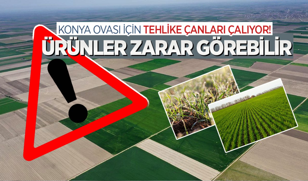 Konya Ovası için tehlike çanları çalıyor! Bu tarihlerde zirai don bekleniliyor