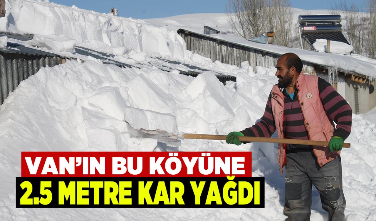  Van’da bu köye tam 2,5 metre kar yağdı!