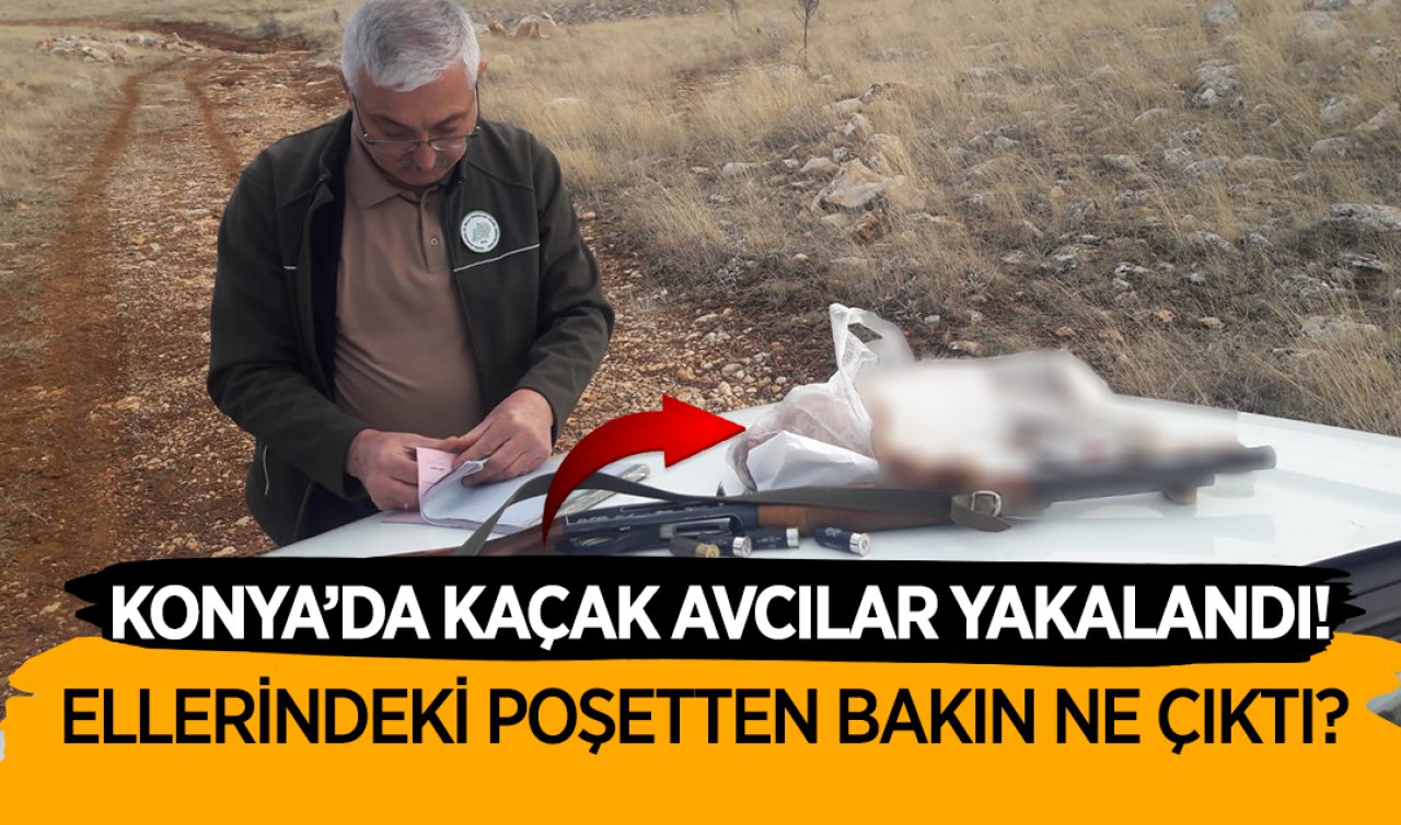 Konya’da kaçak avcılar yakalandı! Ellerindeki poşetten bakın ne çıktı?