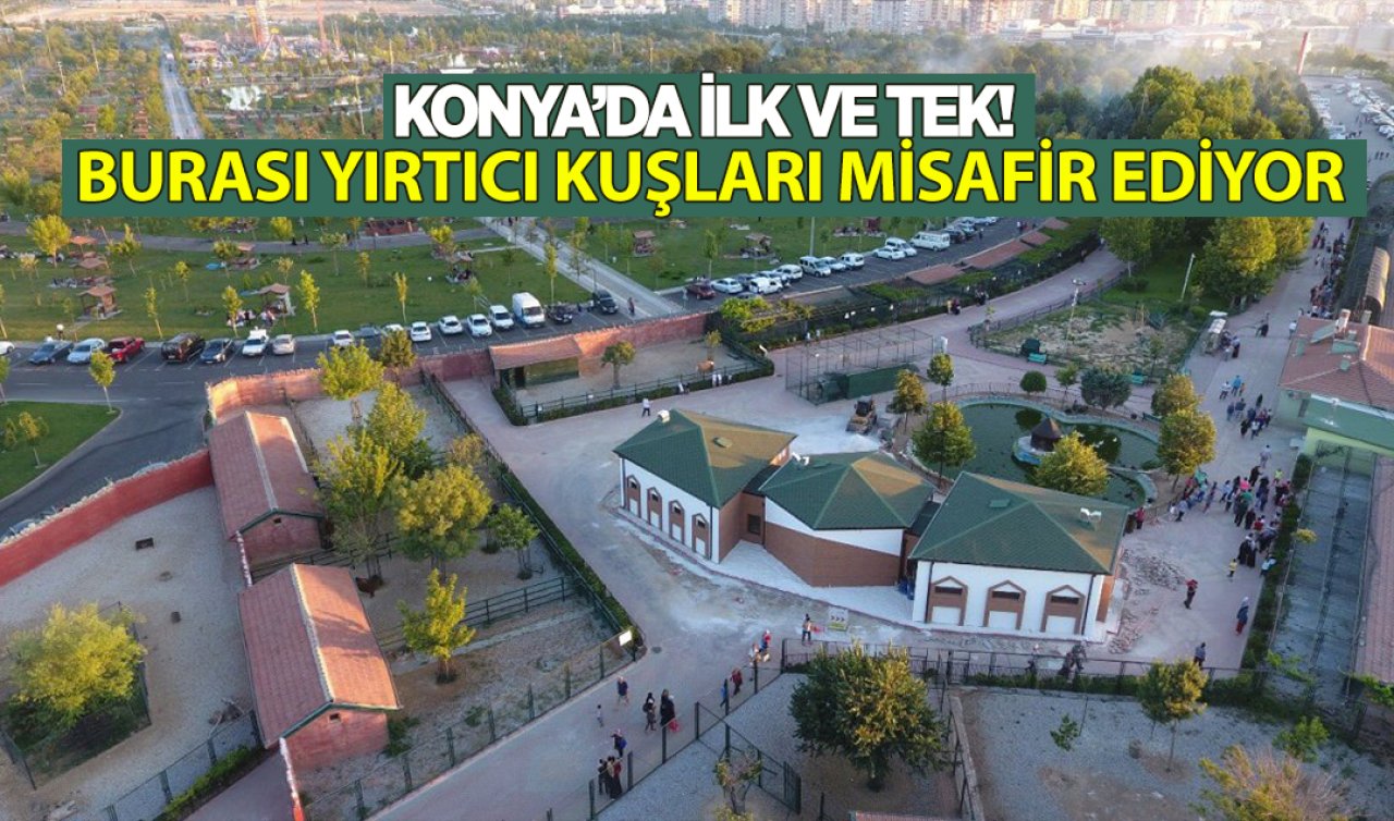 Karaman, Isparta, Afyonkarahisar ve Aksaray’dan burayı görmeye Konya’ya geliyorlar!