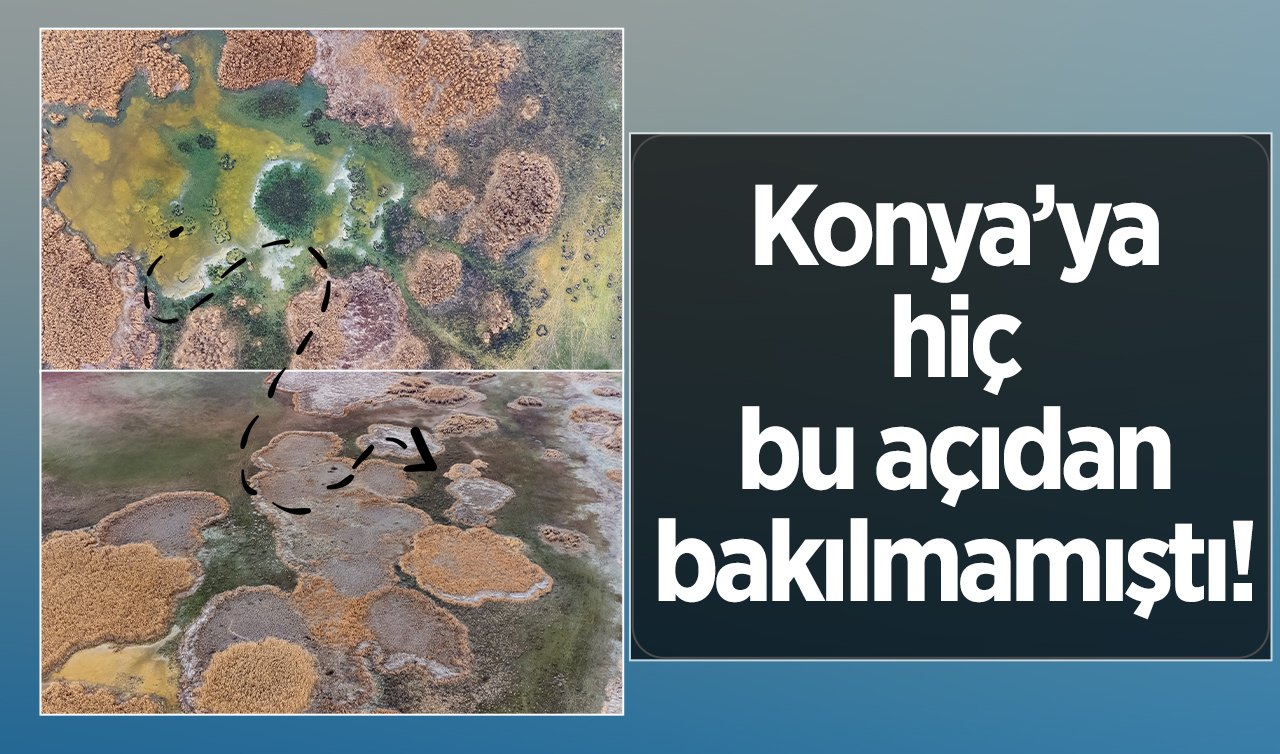 Konya’daki o görüntüler dikkat çekti! Hiç bu açıdan bakılmamıştı: Sarı ve yeşil alanlar ne anlama geliyor?