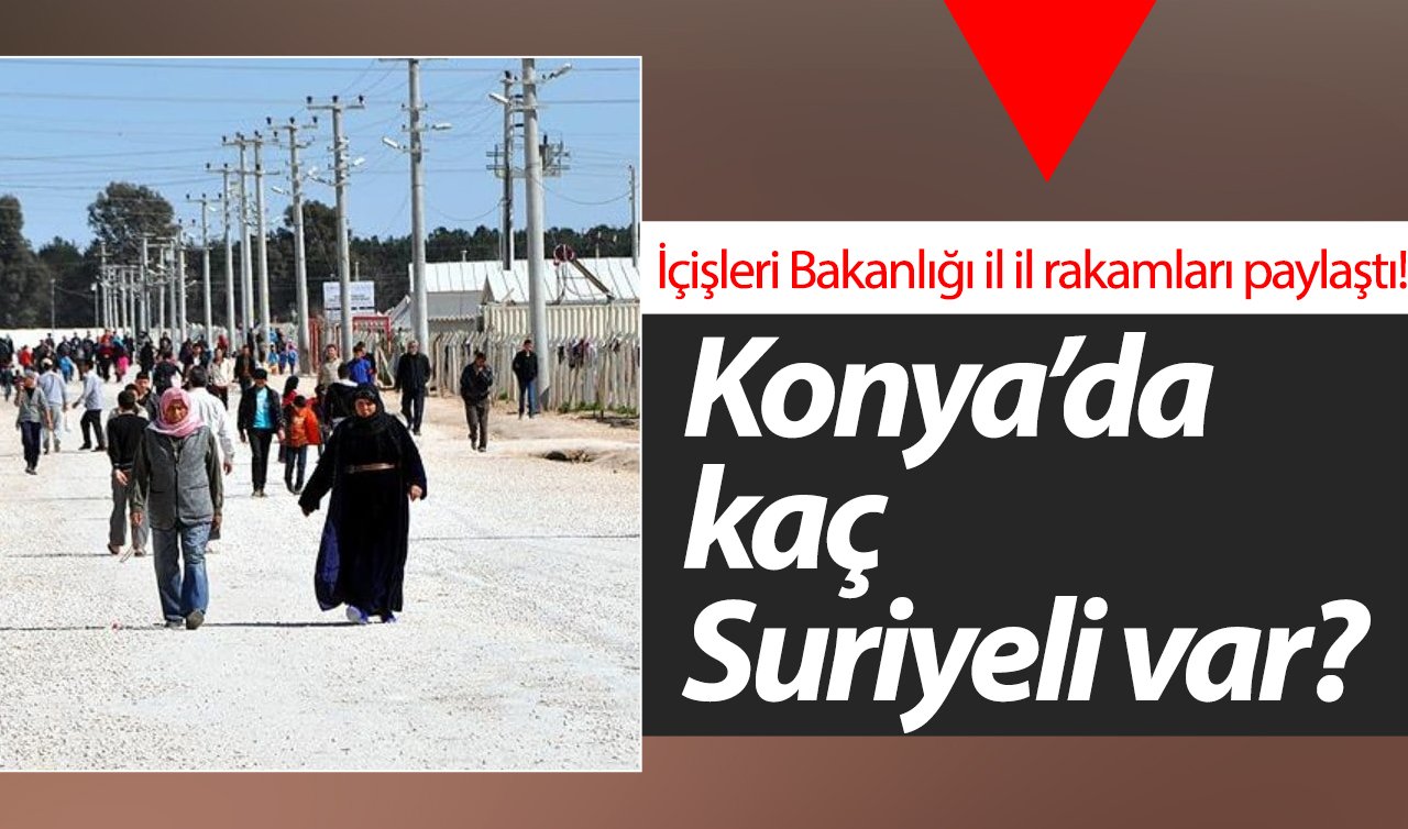 İçişleri Bakanlığı il il rakamları paylaştı! Konya’da kaç Suriyeli var? | O ilde sadece 25 Suriyeli var..