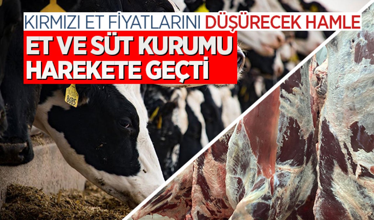 Kırmızı et fiyatlarını düşürecek hamle! Et ve Süt Kurumu harekete geçti