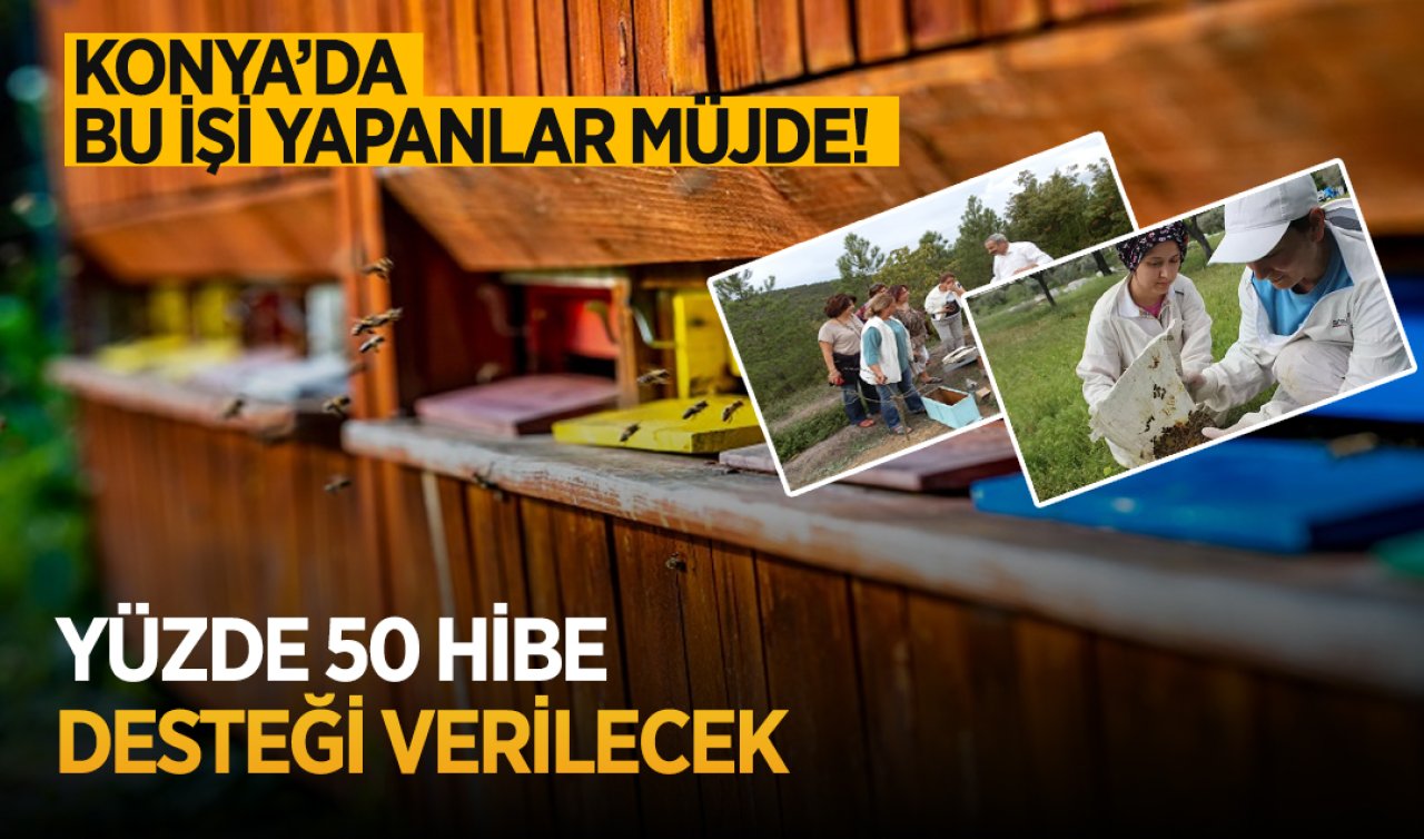 Konya’da bu işi yapanlar müjde! Yüzde 50 hibe desteği verilecek