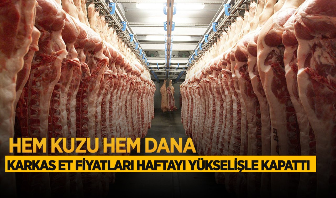 Kuzu ve dana kesim fiyatları! Karkas et fiyatları haftayı yükselişle kapattı