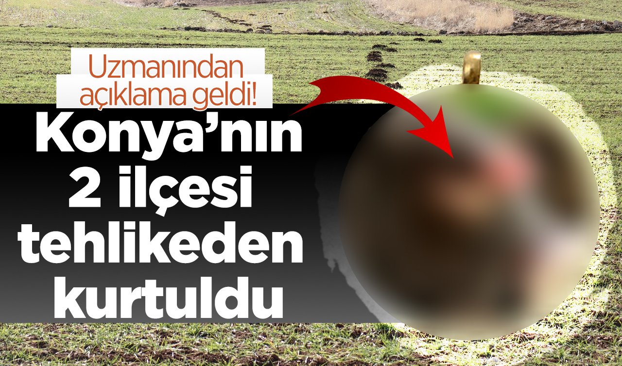 Uzmanından açıklama geldi! Konya’nın 2 ilçesi tehlikeden kurtuldu: Tarlalarda fareden sonra YENİ İŞGALCİLER! 