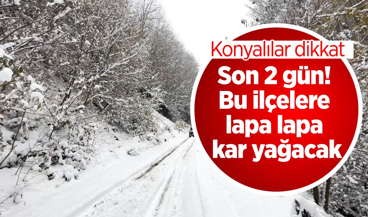 SON DAKİKA HAVA DURUMU | Konyalılar dikkat: Son 2 gün! Bu ilçelere lapa lapa kar yağacak