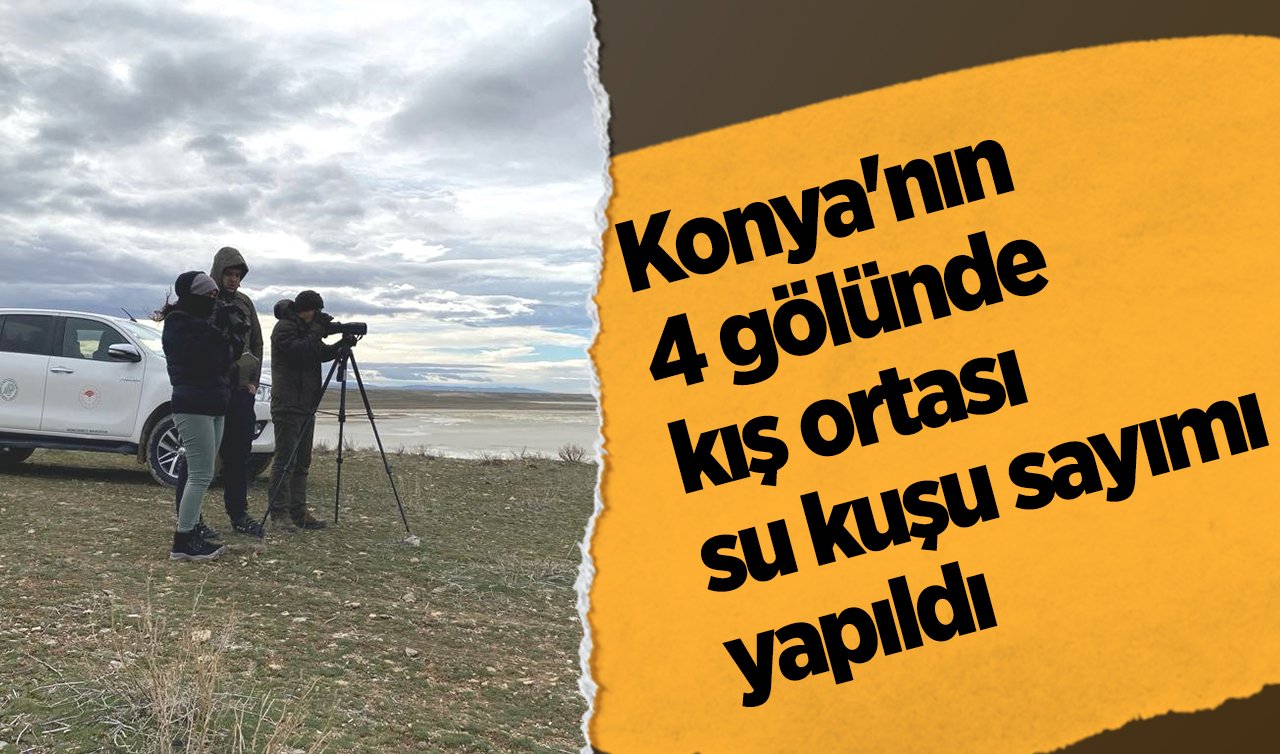 Konya’nın 4 gölünde kış ortası su kuşu sayımı yapıldı