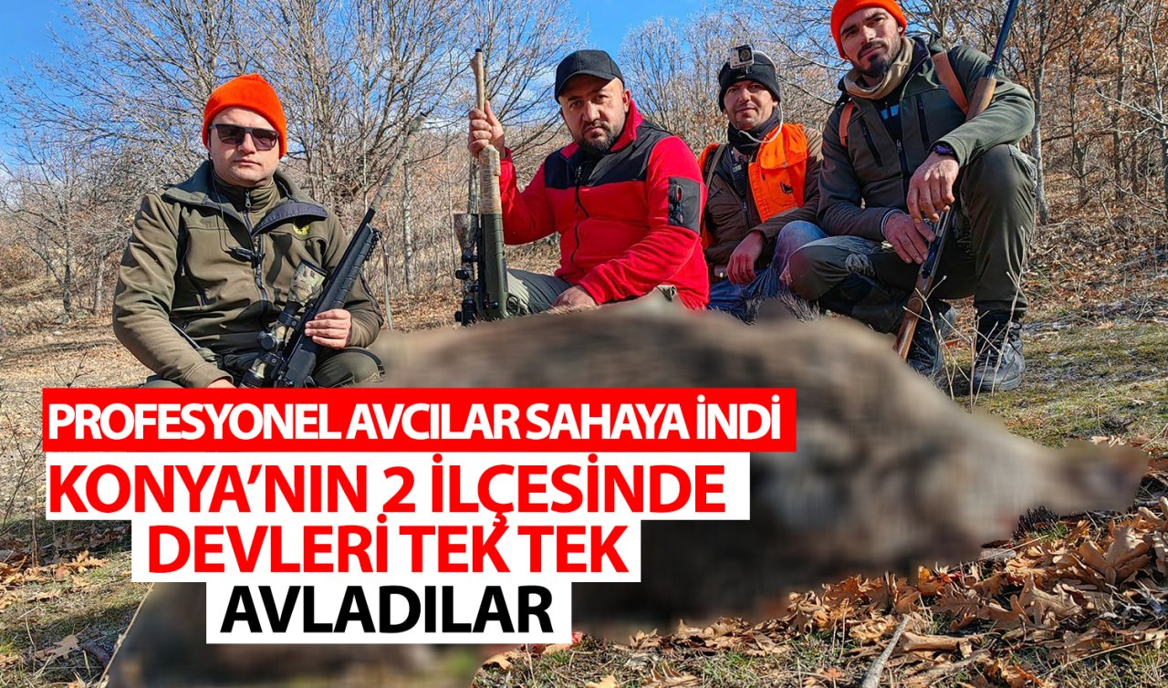 Profesyonel avcılar sahaya indi! Konya’nın 2 ilçesinde devleri tek tek avladılar