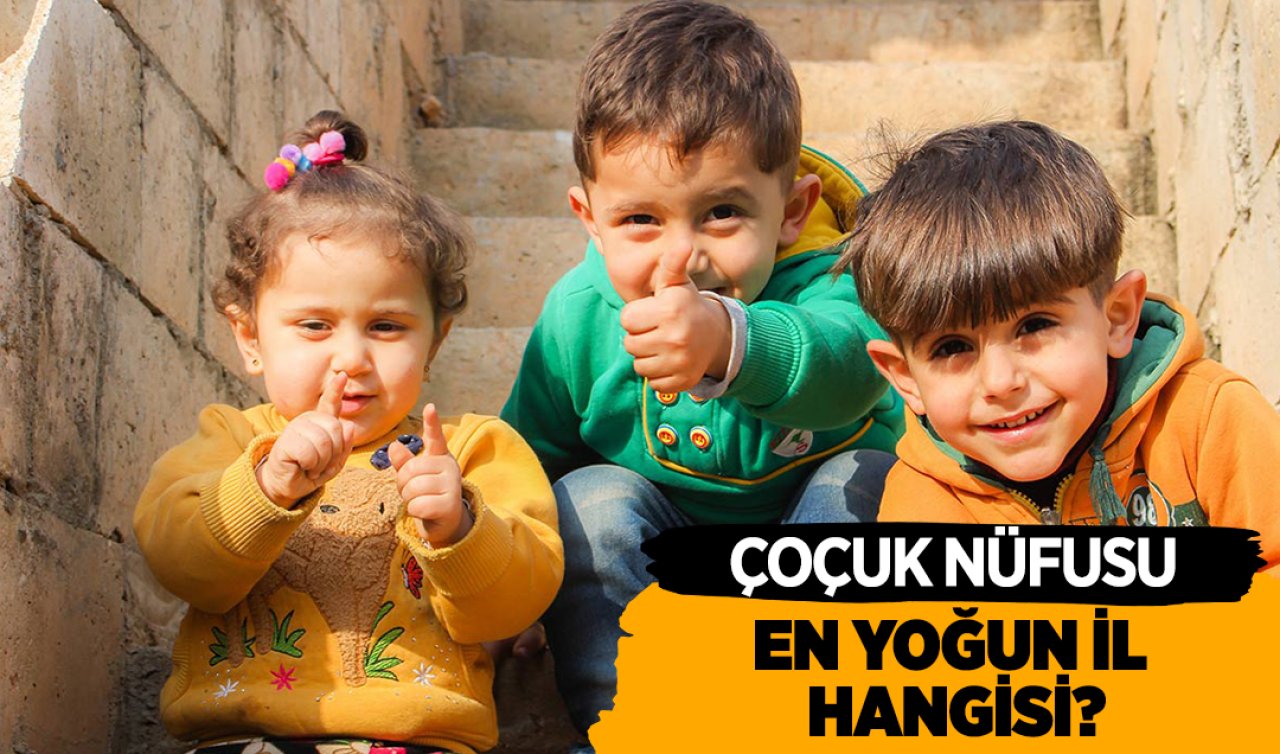 Konya Ankara Şanlıurfa İstanbul Antalya Kocaeli İzmir! Çocuk nüfusu en yoğun il hangisi?