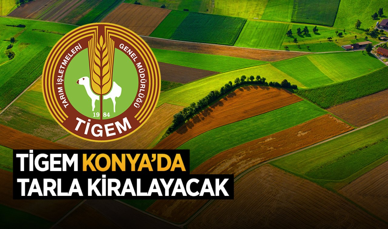 TİGEM Konya’da tarla kiralayacak! Tam 574 dekar