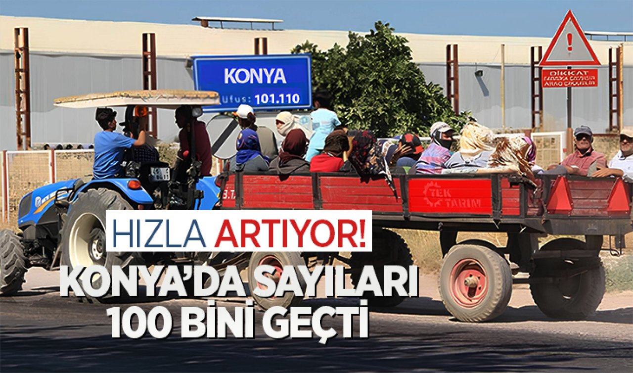 Konya’da sayıları 100 bini geçti! Hızla artıyor