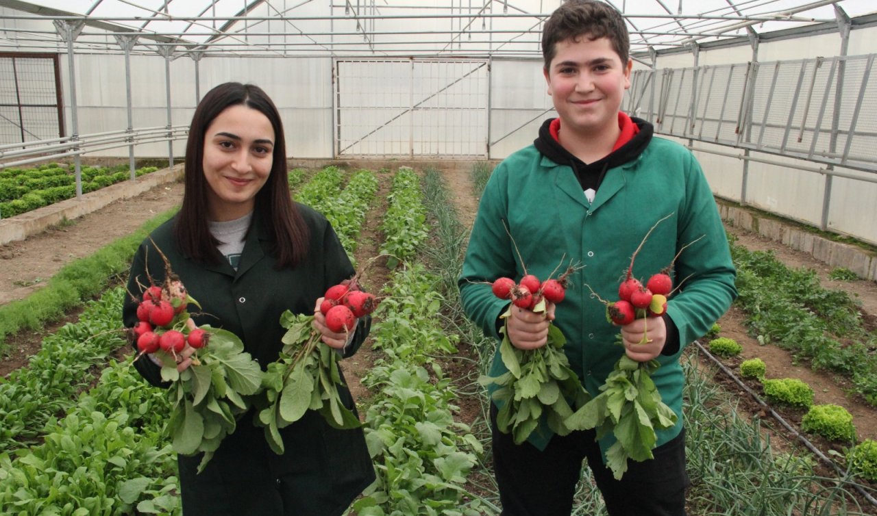  Mevsimine göre sebze yetiştiren öğrenciler hem mesleğinin inceliklerini öğreniyor! Hem de ek gelir elde ediyor
