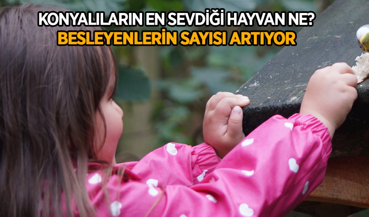 Konyalıların en sevdiği hayvan ne? Besleyenlerin sayısı artıyor