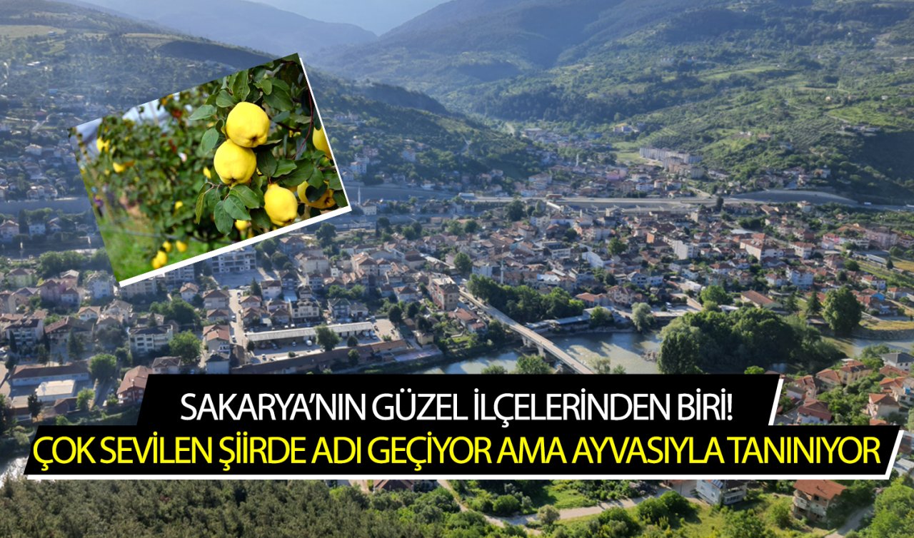 Sakarya’nın güzel ilçelerinden biri! Çok sevilen şiirde adı geçiyor ama ayvasıyla tanınıyor