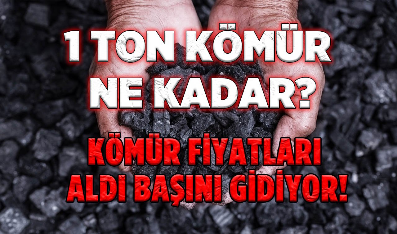 1 ton kömür ne kadar? Kara elmas cep yakıyor! Kömür fiyatları aldı başını gidiyor