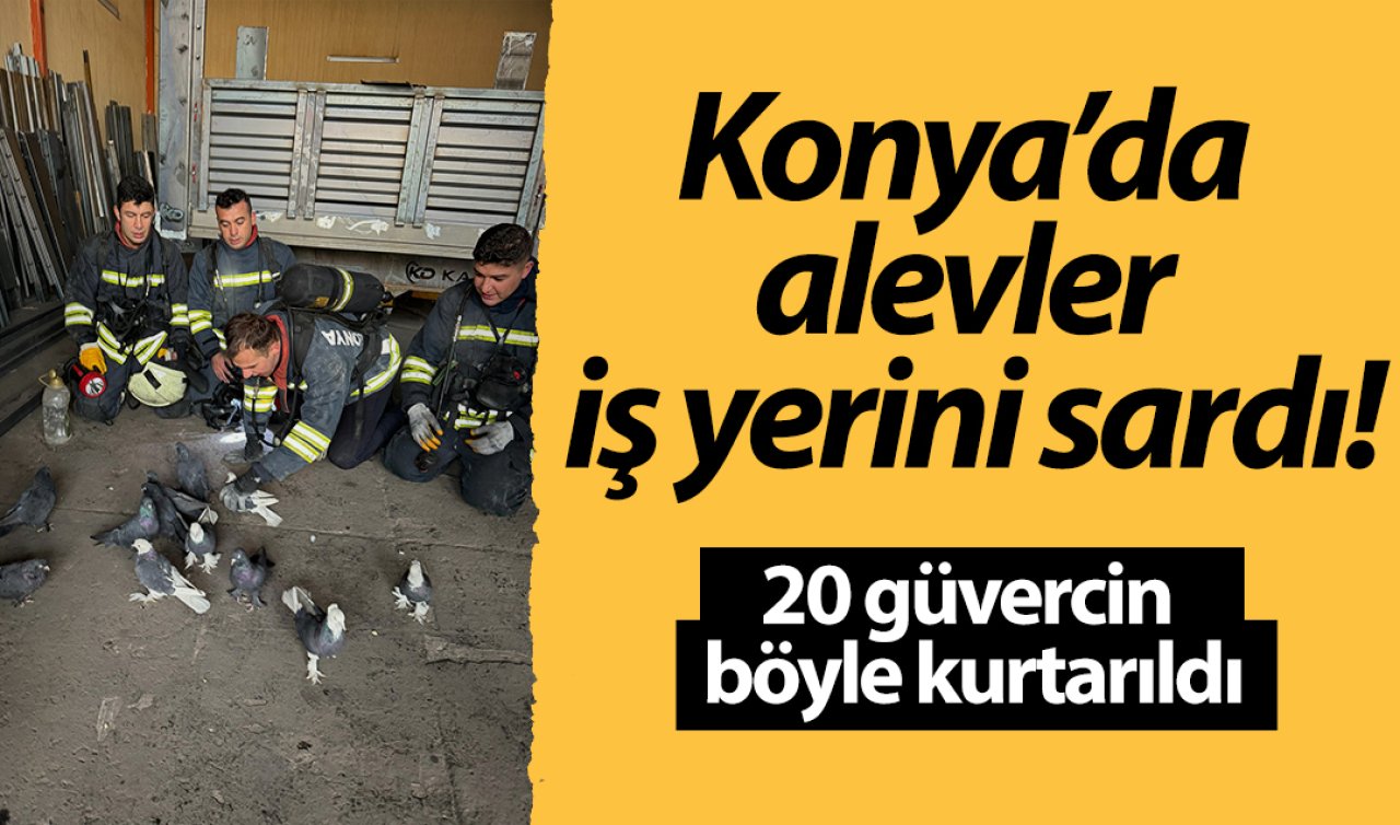Konya’da alevler iş yerini sardı! 20 güvercin böyle kurtarıldı