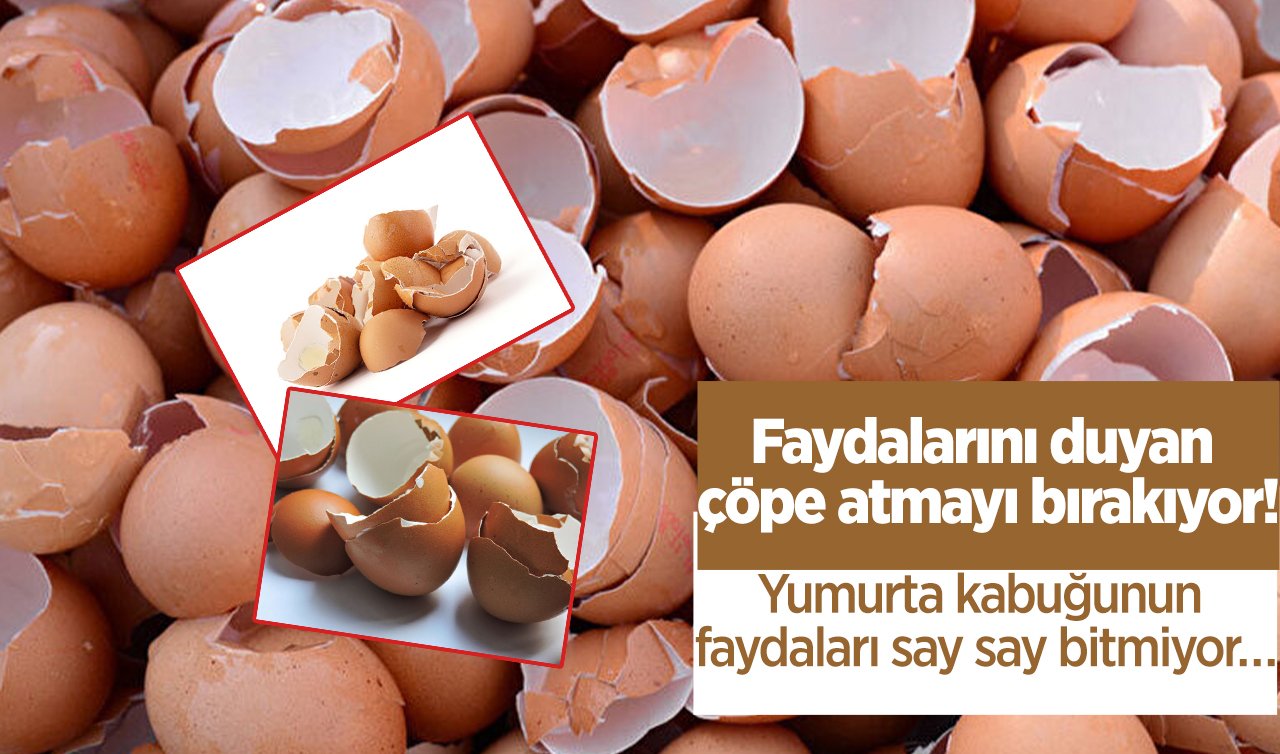 Faydalarını duyan çöpe atmayı bırakıyor! Yumurta kabuğunun faydaları say say bitmiyor…