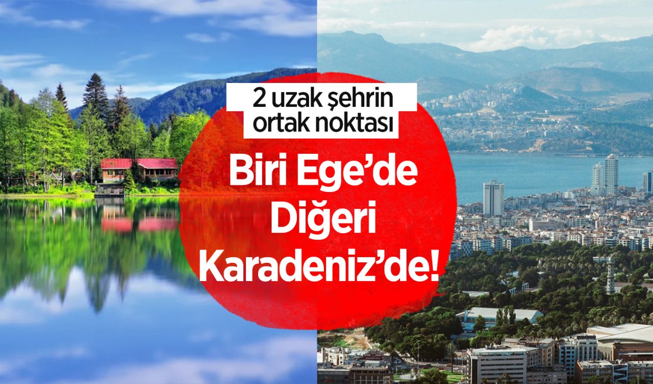 Ege’de İzmir Karadeniz’de Artvin! 2 uzak şehrin ortak noktası