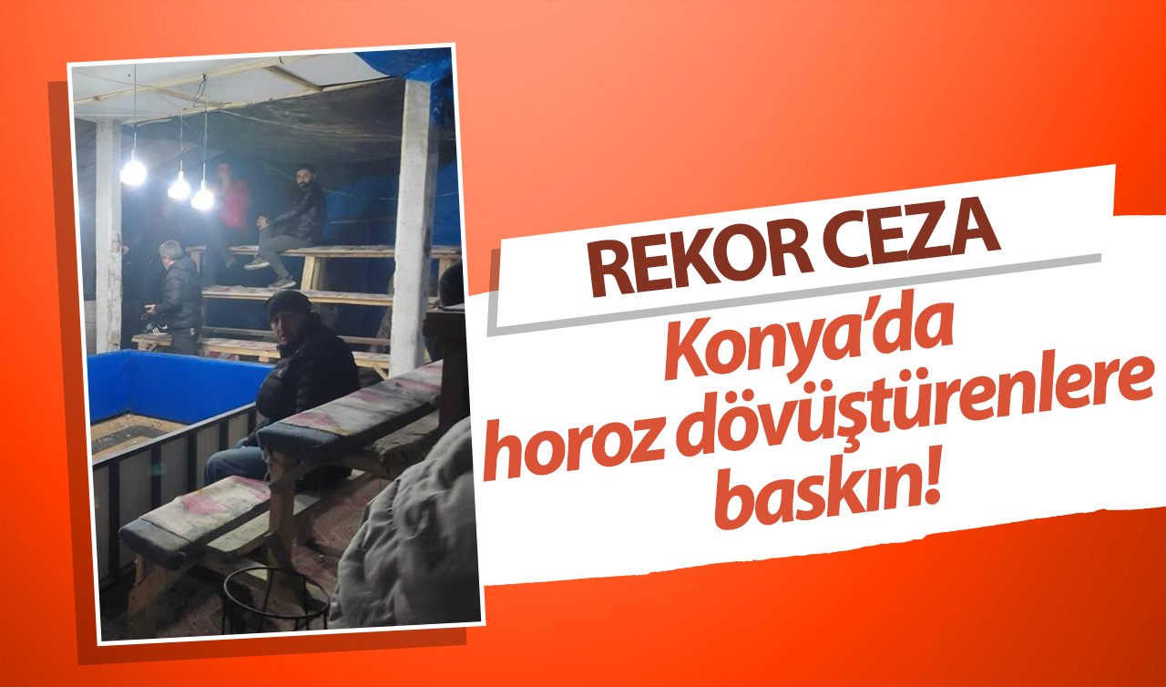 Konya’da horoz dövüşüne baskın!  7 kişiye REKOR CEZA!