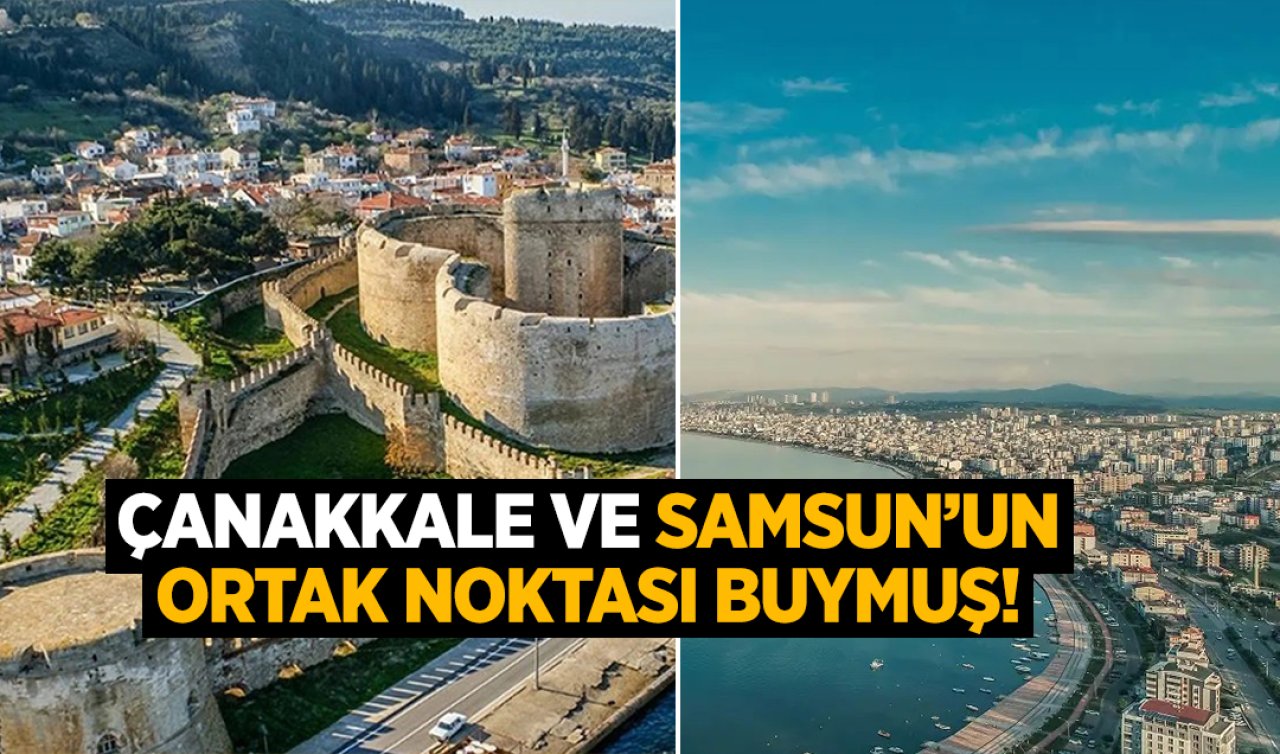 Çanakkale ve Samsun’un ortak noktası buymuş! Aynı ismi taşıyan ilçeler