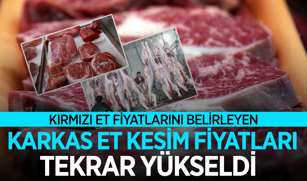 Kırmızı et fiyatlarını belirleyen karkas et kesim fiyatları tekrar yükseldi!