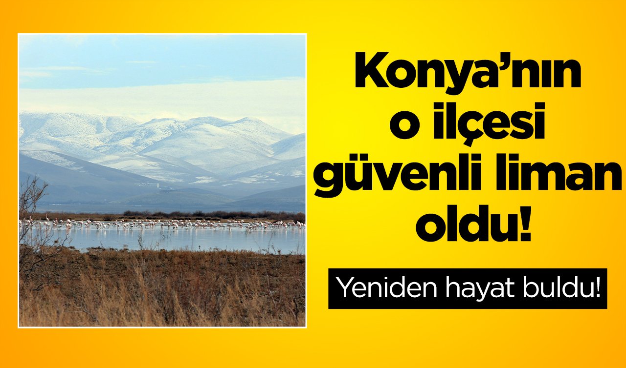 Konya’nın o ilçesi güvenli liman oldu! Sayıları her geçen artıyor: Yeniden hayat buldu! 