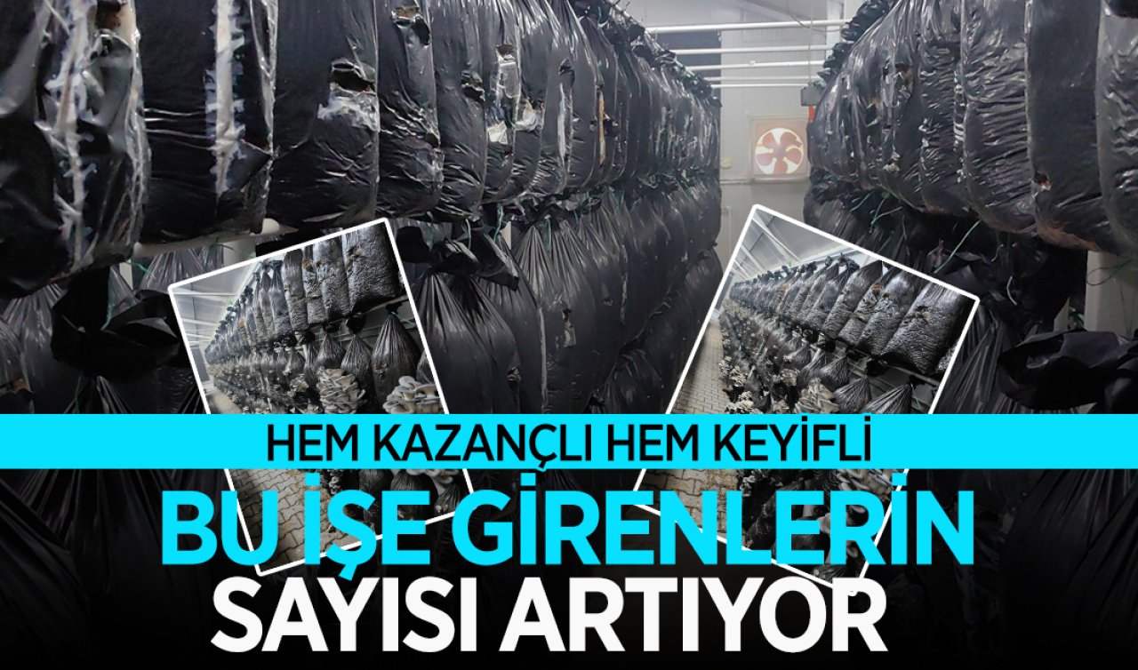 Konya’da tarlası olmayanlar bile bu işe giriyor! Hem kazançlı hem keyifli