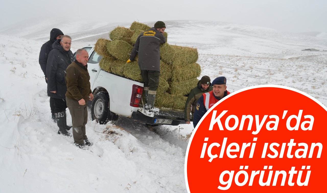 Konya’da içleri ısıtan görüntü: Yaban hayvanları unutulmadı!   