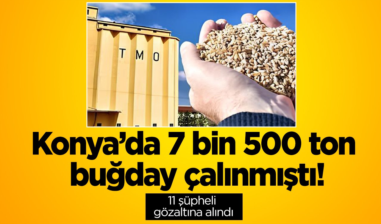 Konya’da 7.500 ton buğday çalınmıştı! YENİ GELİŞME: 11 şüpheli gözaltına alındı!