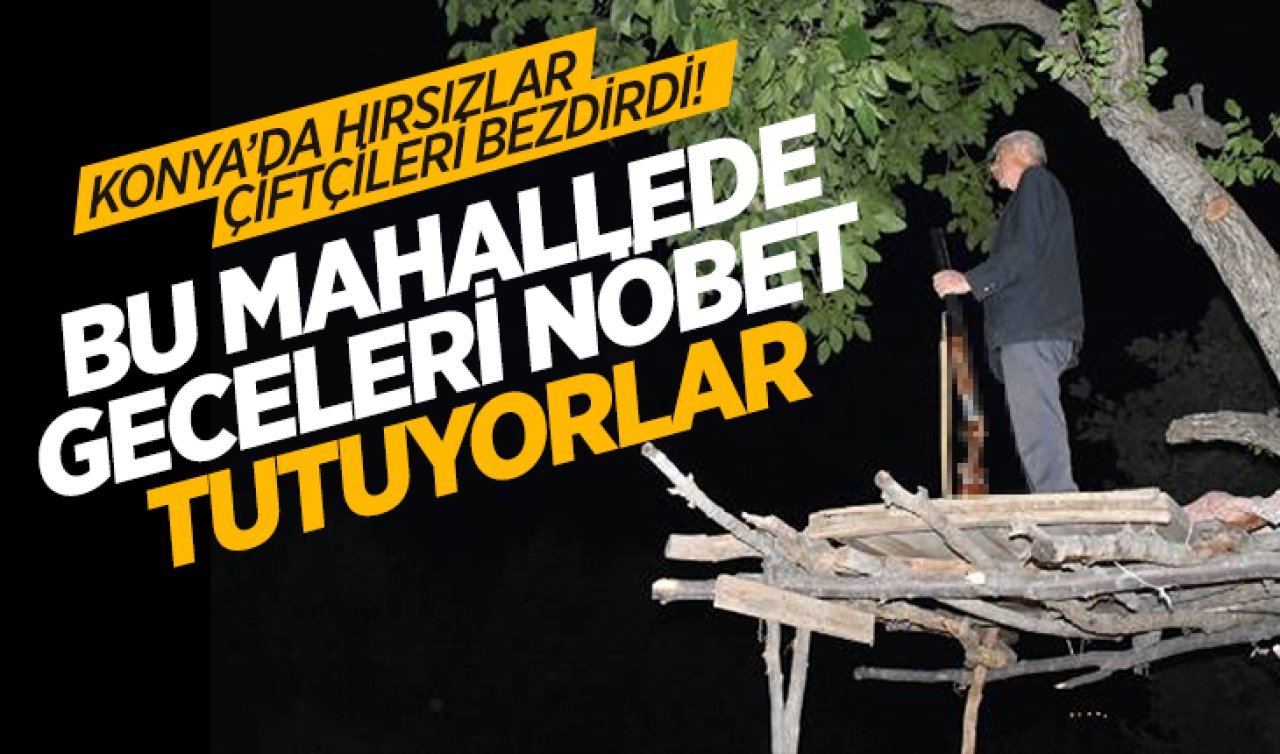 Konya’da çiftçiler hırsızlardan bezdi! Bu mahallede artık geceleri nöbet tutuluyor