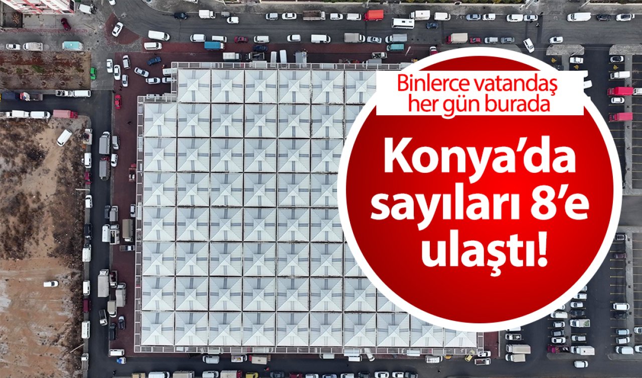  Konya’da sayıları 8’e ulaştı! Binlerce vatandaş her gün burada: Yazın ayrı kışın ayrı..