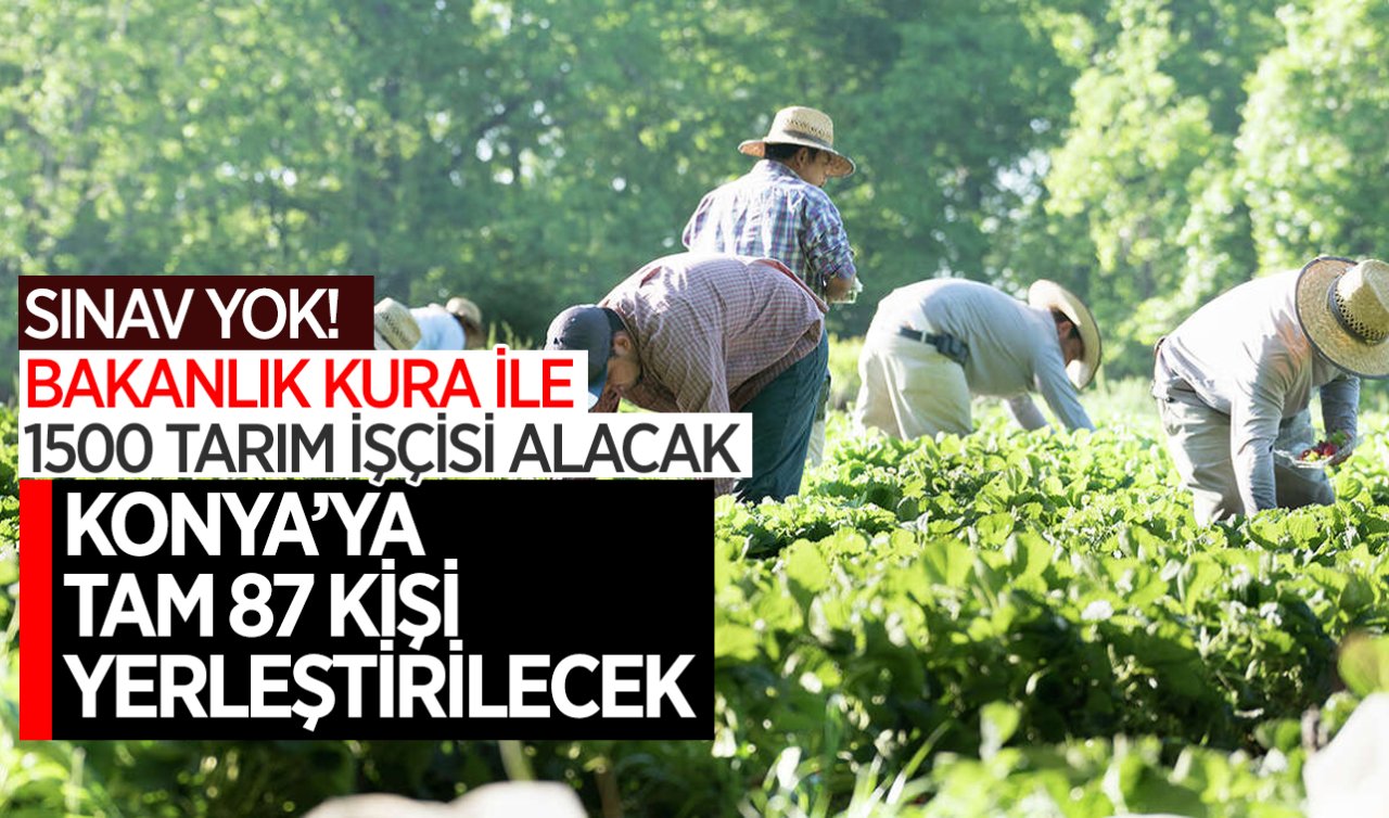 SINAV YOK Bakanlık kura ile 1500 tarım işçisi alacak! Konya’ya tam 87 kişi yerleştirilecek