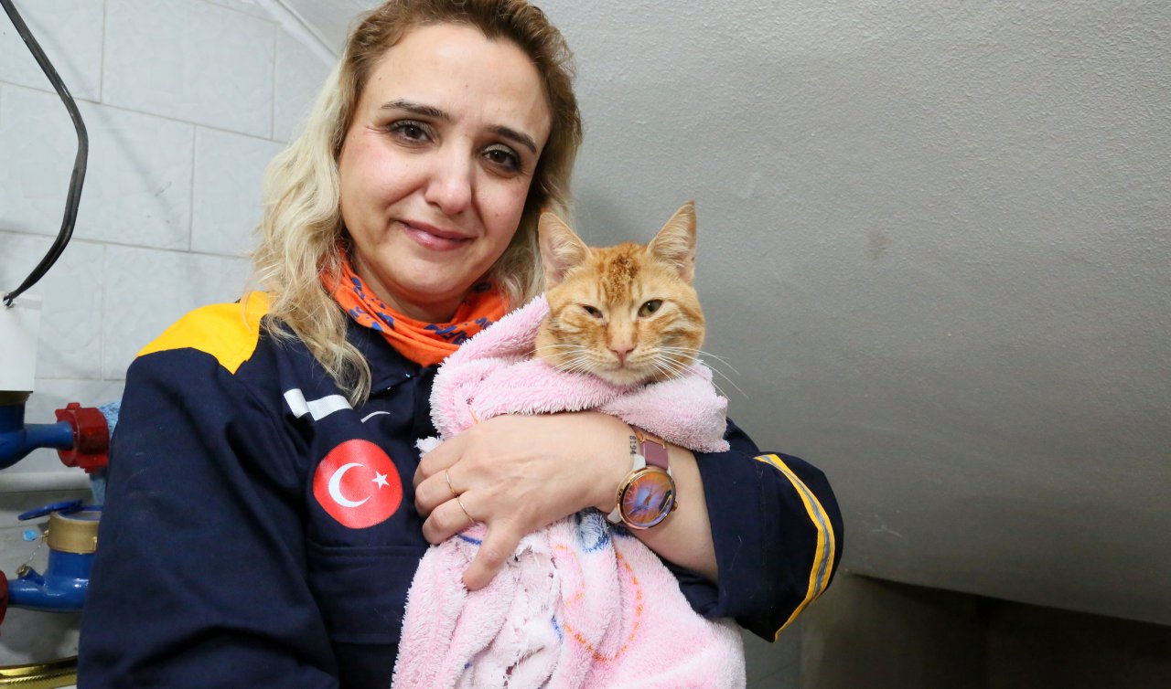 Apartmanın bodrum katını sel vurdu: Mahsur kalan kedi böyle kurtarıldı
