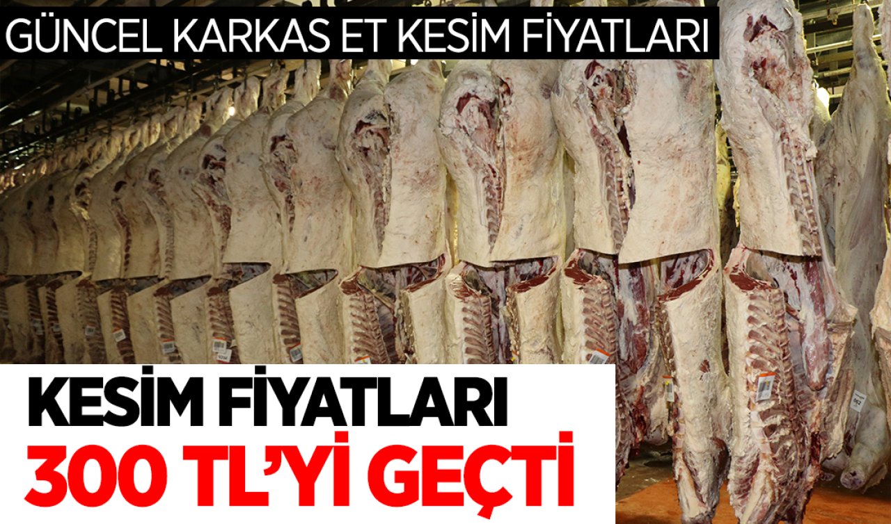 Dana ve kuzu karkas etin kilosu kaç lira oldu? 15 Şubat güncel karkas et fiyatları