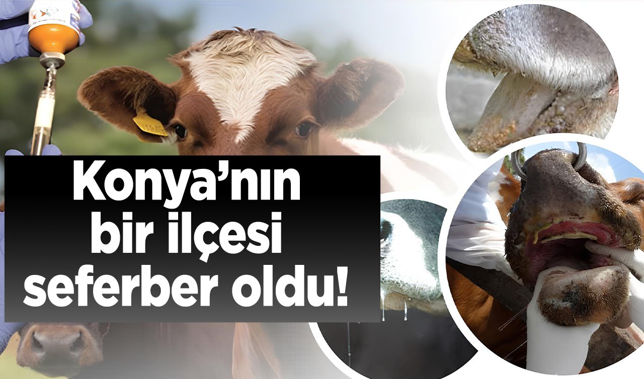  Konya’nın bir ilçesi seferber oldu! O hastalığın önüne geçilmek isteniyor