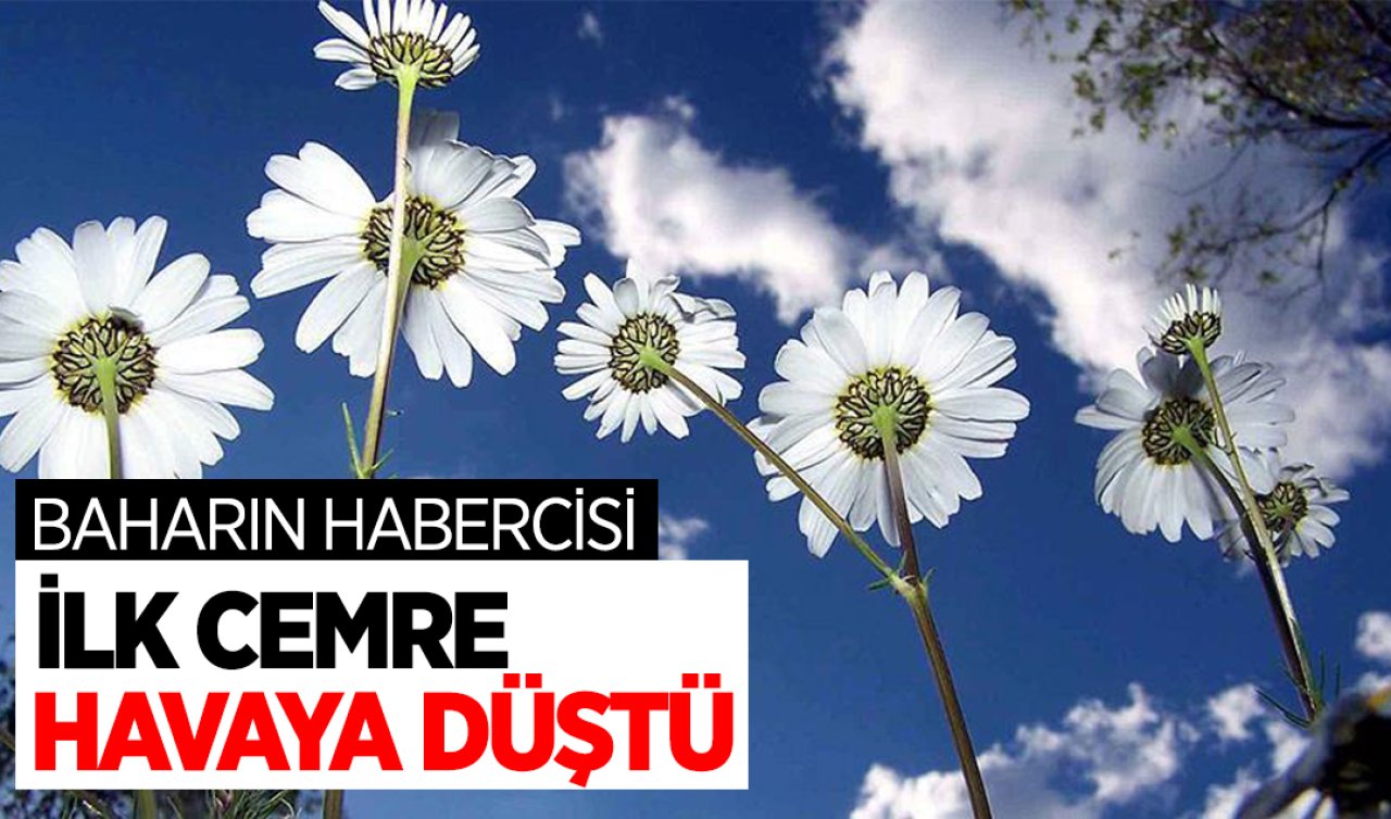 Baharın habercisi! İlk cemre havaya düştü