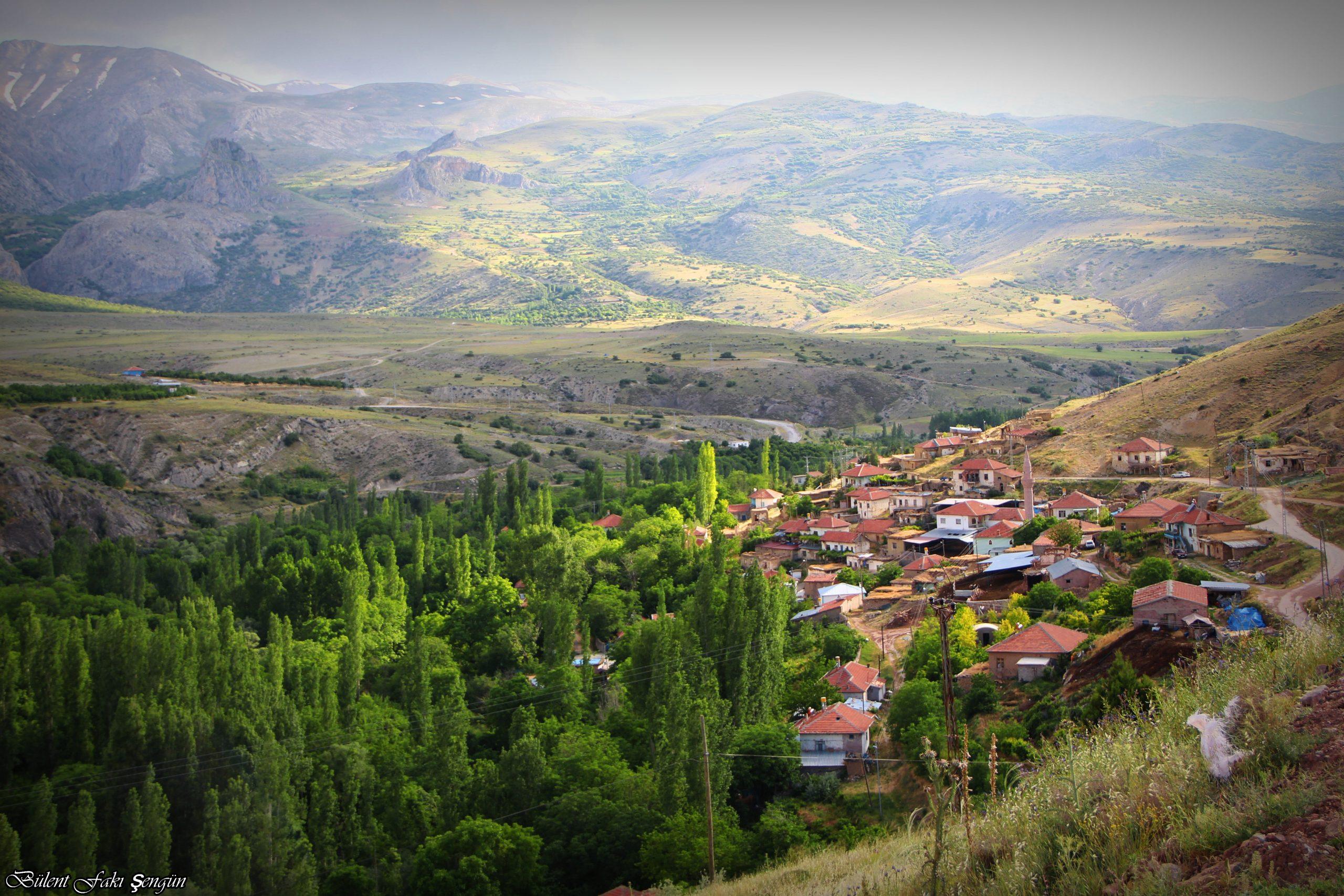 konya halkapınar nüfusu