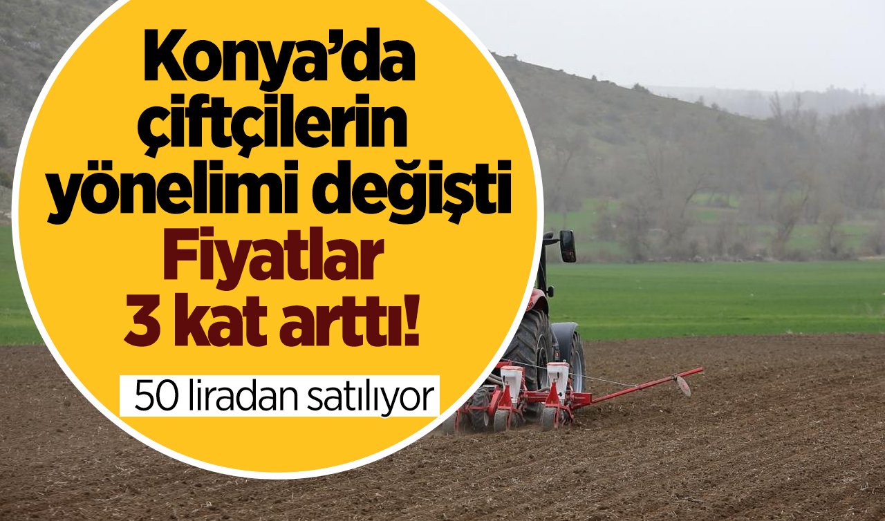   Konya’da çiftçilerin yönelimi değişti: Fiyatlar 3 kat arttı! 50 liradan satılıyor