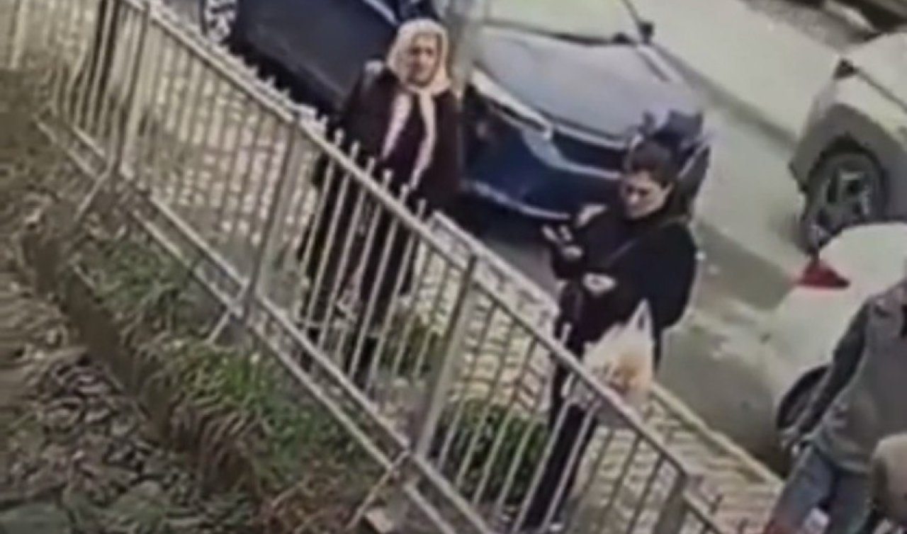 Mahsur kaldığı dereden kurtarılan köpek sevgi gösterisi yaptı