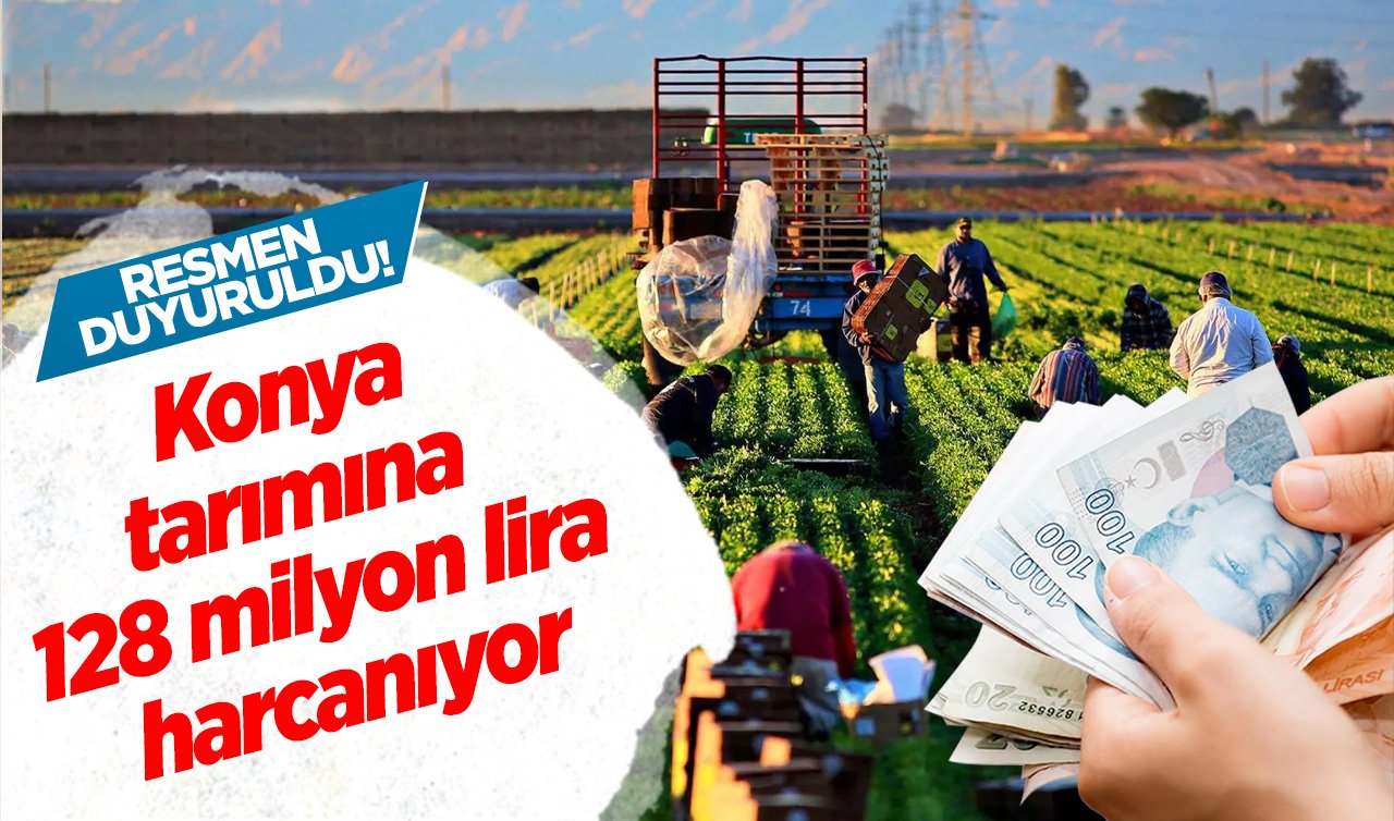 RESMEN DUYURULDU! Konya tarımına 128 milyon lira harcanıyor: 22 proje KOP desteğiyle hayata geçecek!